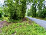  13.44 Ac Chestnut Ridge Rd - Photo 7