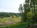 3877 Hwy 66 - Photo 3