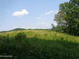 3877 Hwy 66 - Photo 6
