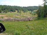 3877 Hwy 66 - Photo 8