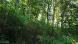 4 Treeline Drive - Photo 3