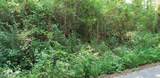 4 Treeline Drive - Photo 9