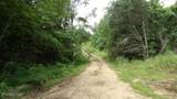 51.30ac Livingston Hwy - Photo 15