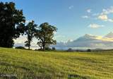 Lot 200 Russell Brothers Rd - Photo 6