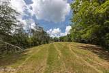  Marble Hill Rd (8+ Acres) - Photo 11
