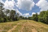  Marble Hill Rd (8+ Acres) - Photo 13