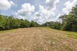  Marble Hill Rd (8+ Acres) - Photo 15