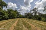  Marble Hill Rd (8+ Acres) - Photo 16
