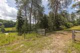  Marble Hill Rd (8+ Acres) - Photo 8