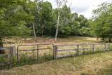  Marble Hill Rd (10+ Acres) - Photo 10