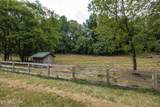  Marble Hill Rd (10+ Acres) - Photo 11