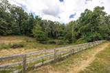  Marble Hill Rd (10+ Acres) - Photo 13