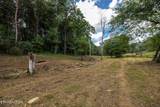  Marble Hill Rd (10+ Acres) - Photo 17