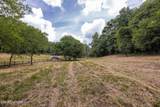  Marble Hill Rd (10+ Acres) - Photo 20