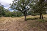  Marble Hill Rd (10+ Acres) - Photo 22