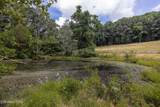  Marble Hill Rd (10+ Acres) - Photo 23