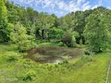  Marble Hill Rd (10+ Acres) - Photo 4