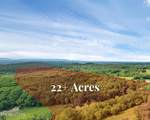  Marble Hill Rd (22+ Acres) - Photo 1