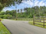  Marble Hill Rd (22+ Acres) - Photo 5