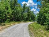  4.49 Acres Spruce Creek Drive - Photo 3