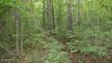 Lot 222 Hilltop Lane - Photo 11