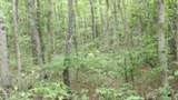 Lot 222 Hilltop Lane - Photo 13