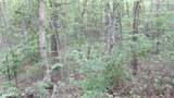 Lot 222 Hilltop Lane - Photo 14
