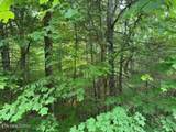 2808 Grist Mill Lane - Photo 4