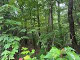 2808 Grist Mill Lane - Photo 7