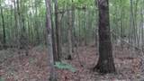 Lot 48 Parkstown Ext. Rd - Photo 12