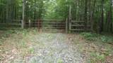 Lot 48 Parkstown Ext. Rd - Photo 13