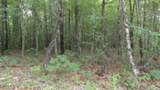Lot 48 Parkstown Ext. Rd - Photo 14
