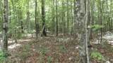 Lot 48 Parkstown Ext. Rd - Photo 5