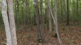 Lot 48 Parkstown Ext. Rd - Photo 9
