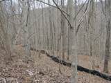 Lot 60 Bobcat Lane - Photo 10