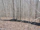 Lot 60 Bobcat Lane - Photo 11