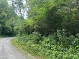 Doc Hollow Off Lowes Branch Rd - Photo 11