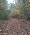  Lot 240-242 Laurel Mountain Rd - Photo 8