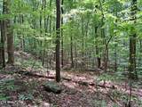 305 Rocky Creek Dr - Photo 13