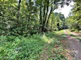 Lot 6 Raby Hollow Road - Photo 1