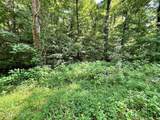 Lot 6 Raby Hollow Road - Photo 3