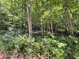 Lot 6 Raby Hollow Road - Photo 4