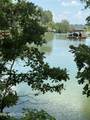1534 Wilkerson Rd - Photo 2