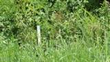 Lot 4F Trout Lane - Photo 2