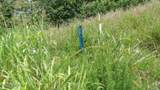 Lot 4F Trout Lane - Photo 4