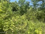 282 County Road 285 - Photo 2