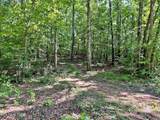 Lot 4 Raby Hollow Road - Photo 1