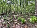 Lot 2 Raby Hollow Road - Photo 11
