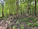 Lot 2 Raby Hollow Road - Photo 4