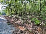 Lot 2 Raby Hollow Road - Photo 8